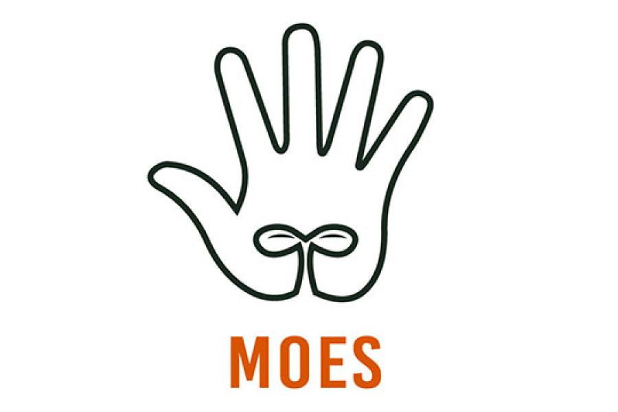 MOES Logo