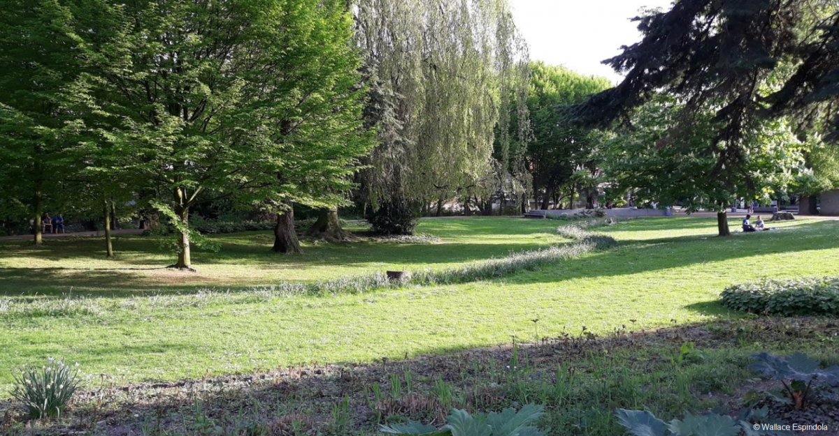 Het Albertpark wordt gerenoveerd