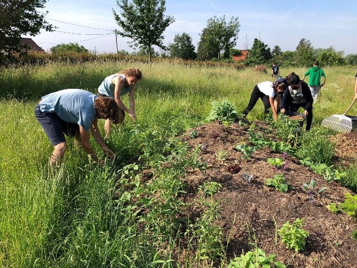 wildgroei woekert vereniging