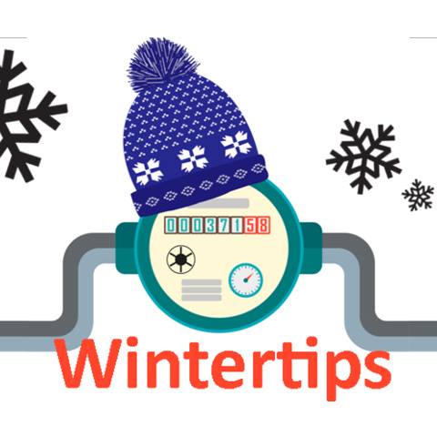 logo wintertips
