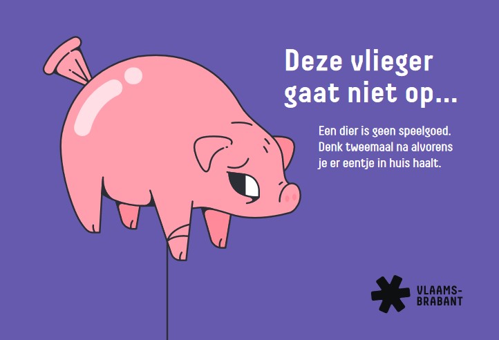 flyer campagne provincie huisdier