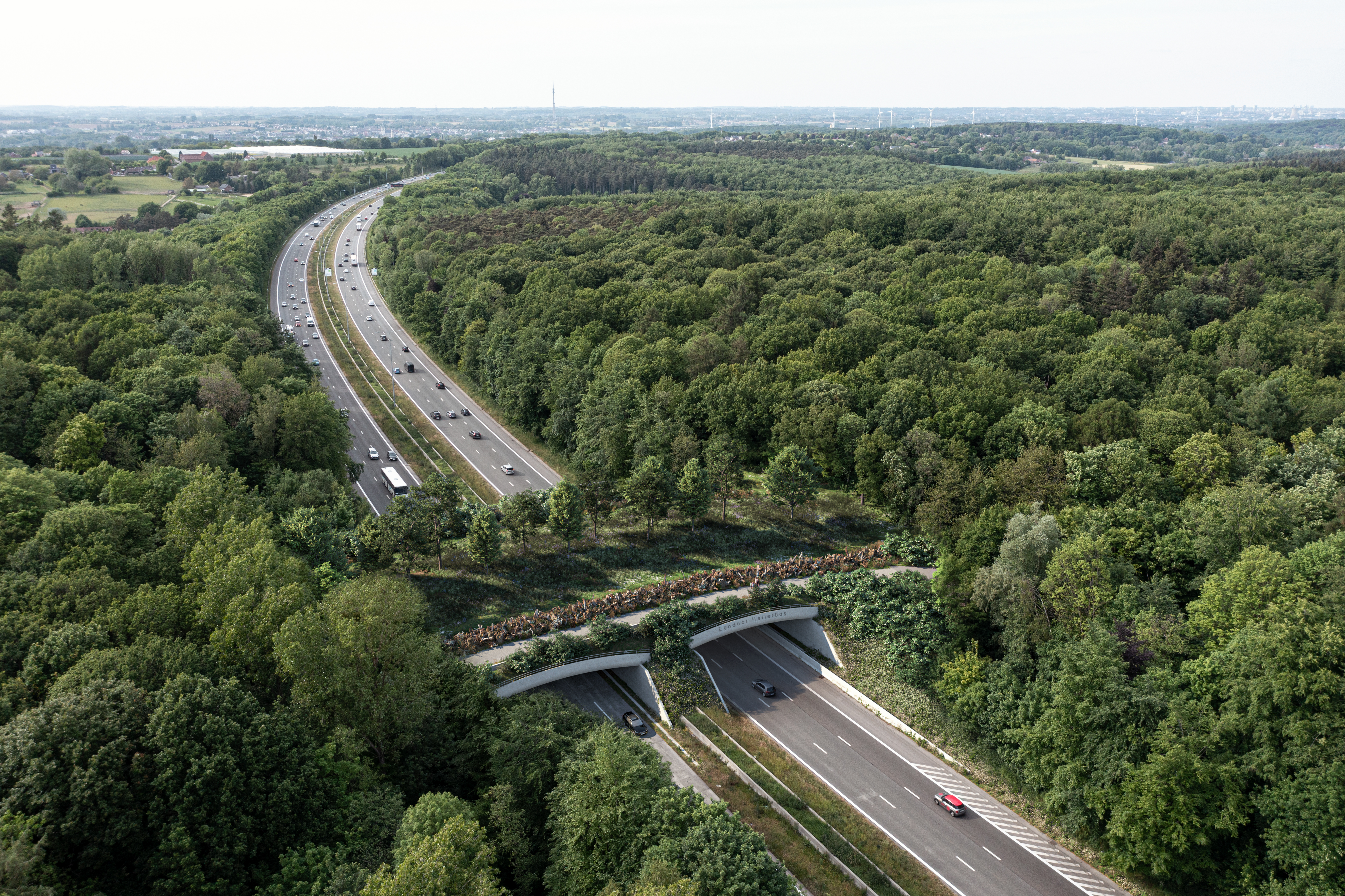 Ecoduct