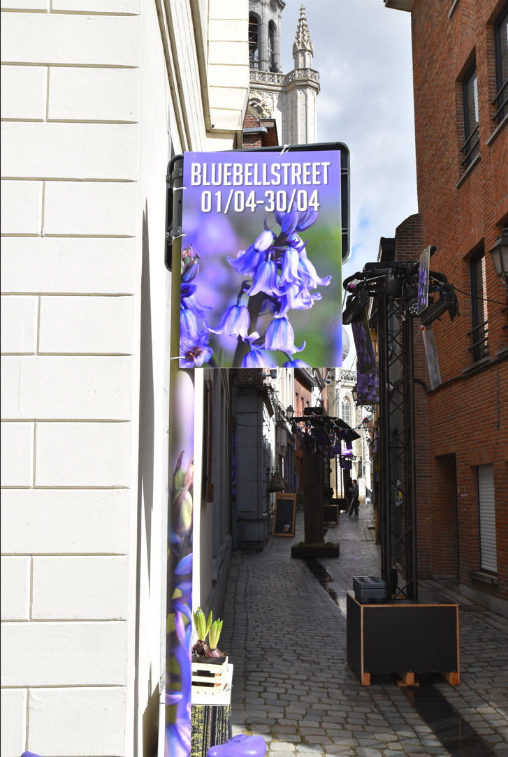Bluebellstreet
