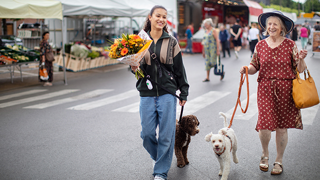 Activiteitenkalender Nederlands