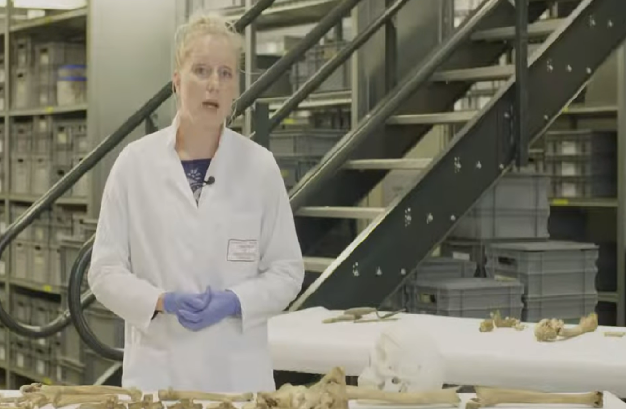 Beestenmarkt opgraving