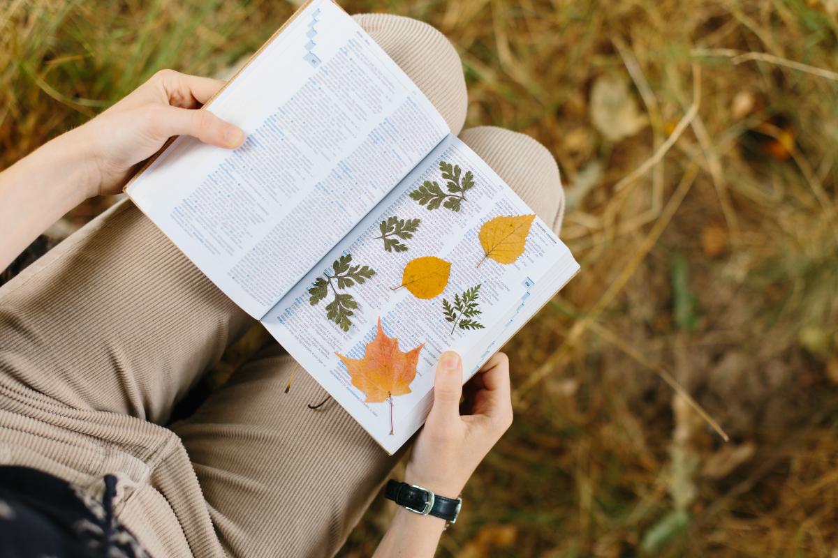 persoon kijkt in natuurboekje (c) Kevin Faignaert