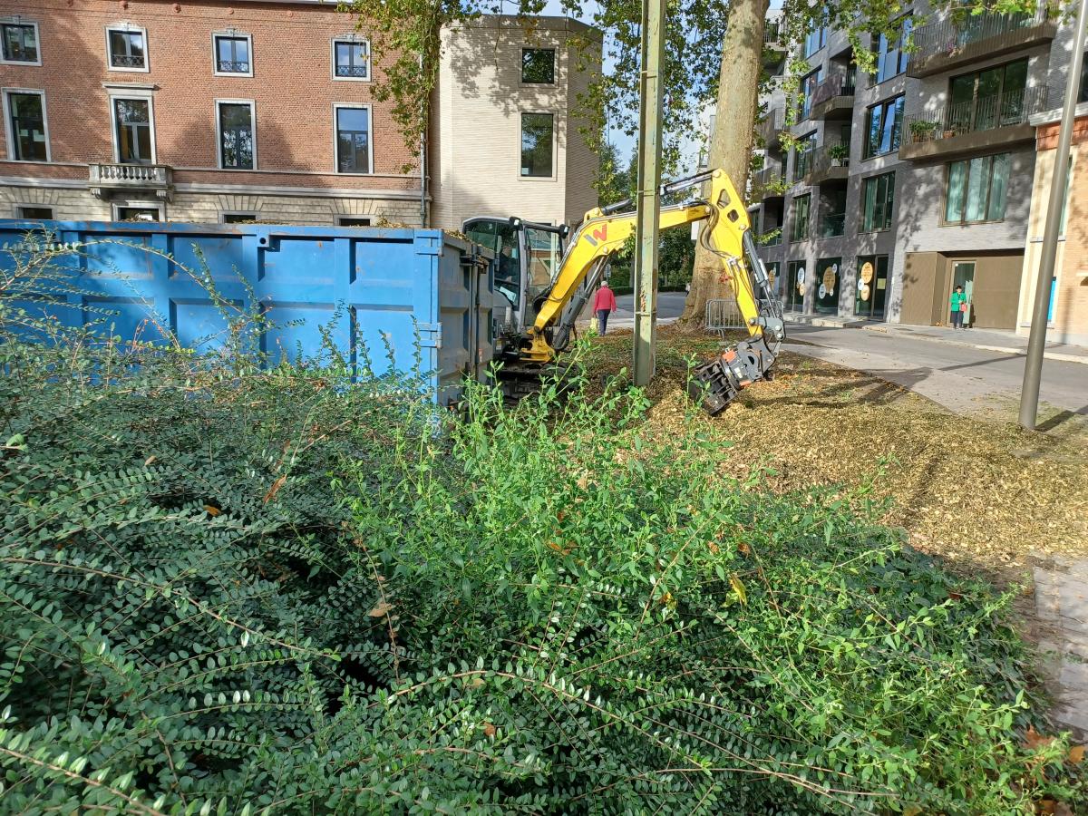 Snoeiwerken aan de bib.