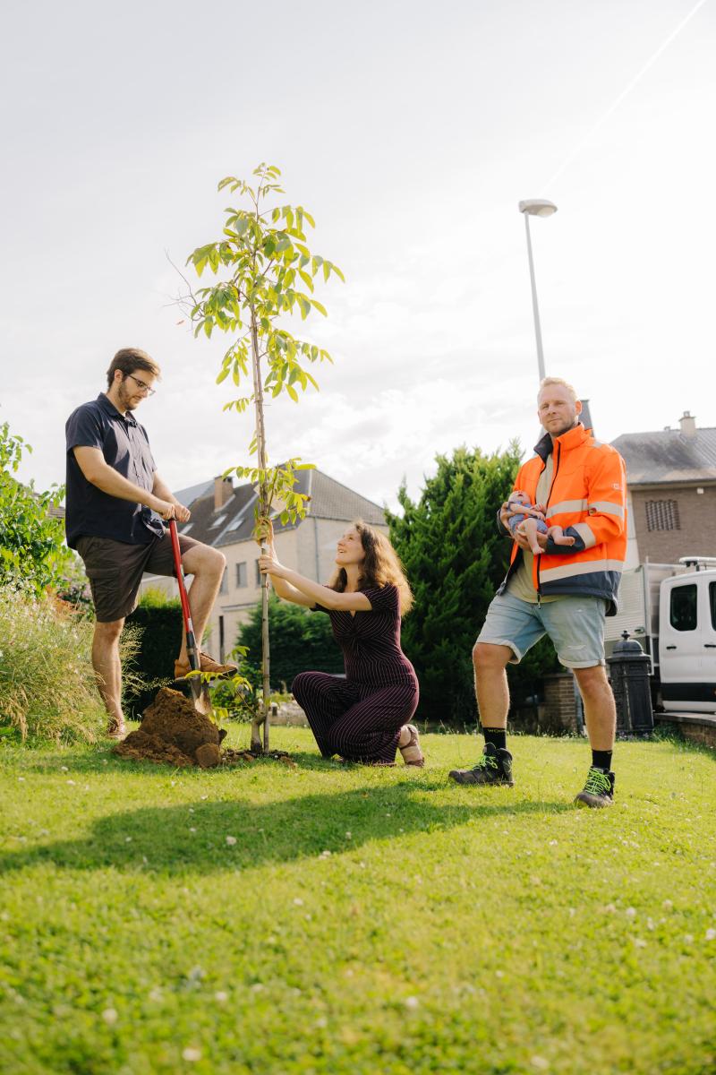 Bijzondere Bomen in Halle