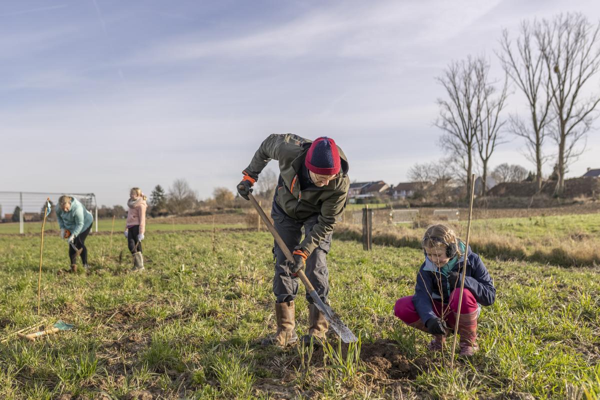 mensen planten bomen (c)Luminus