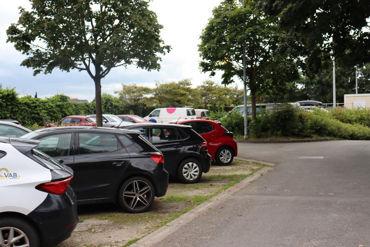 Gooikenaar