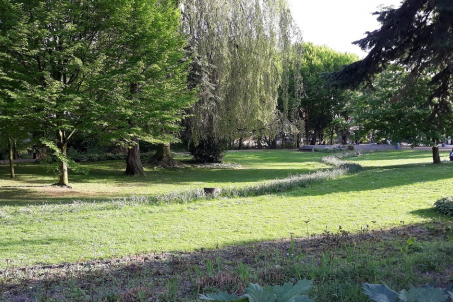 Het Albertpark wordt gerenoveerd