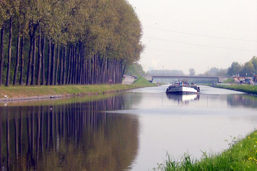 kanaal met populieren