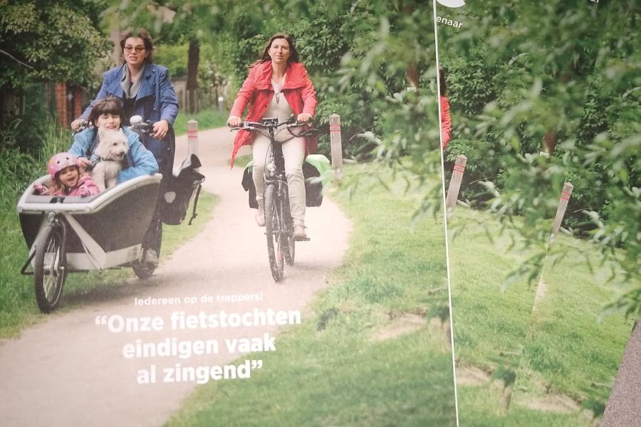 Info Halle juni 2021