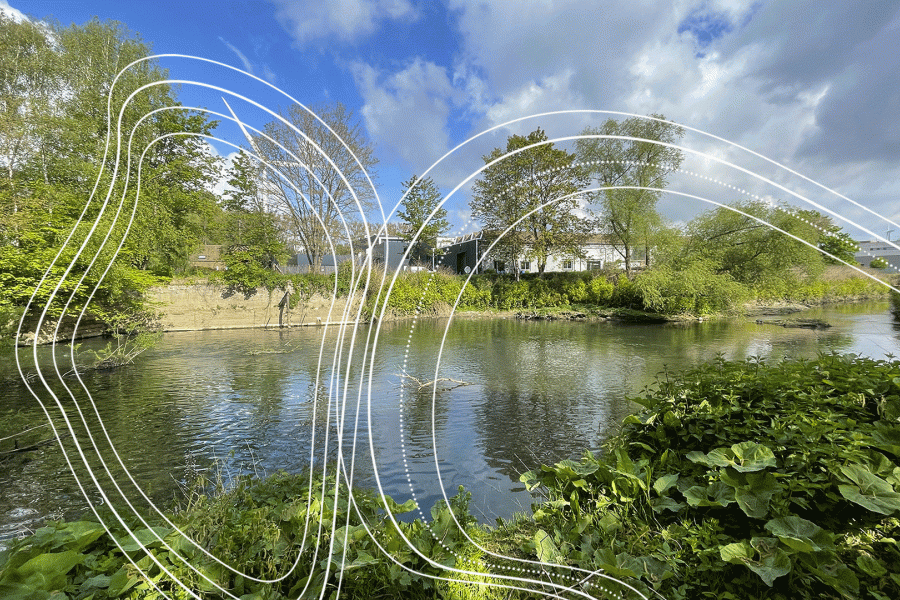 Via het Zennepad bereik je het Park van Buizingen, vanwaar je terugkeert richting het Historisch stadscentrum