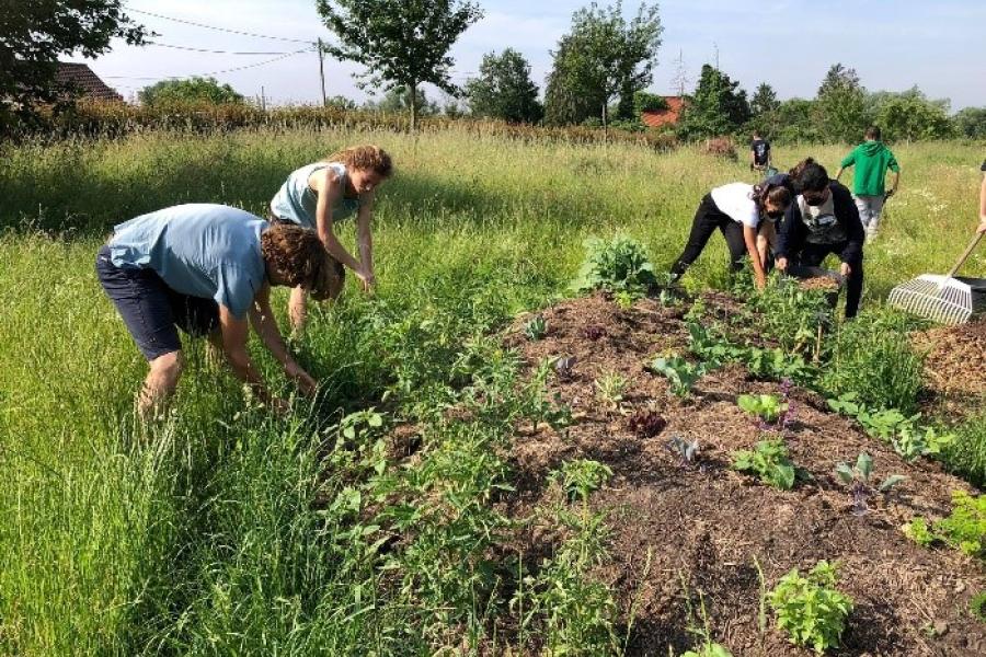 wildgroei woekert vereniging
