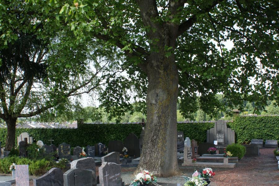 Begraafplaats Buizingen