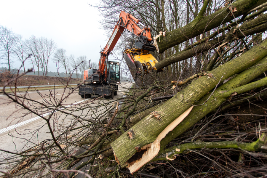 bomen hakken langs weg (c)Wegen en verkeer
