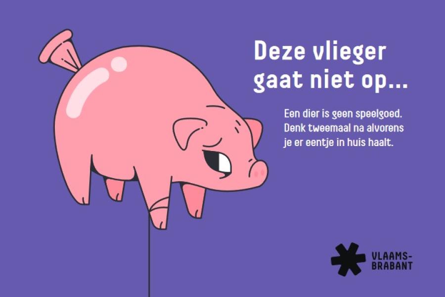 flyer campagne provincie huisdier