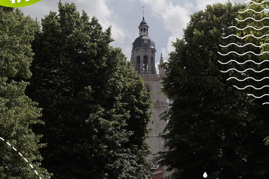 Sint-Martinusbasiliek