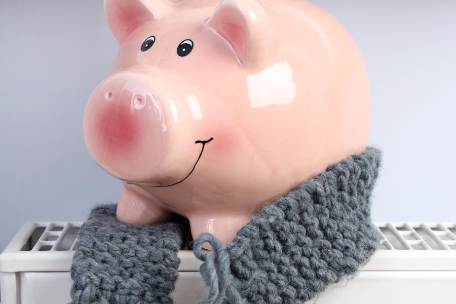 spaarvarken met sjaal