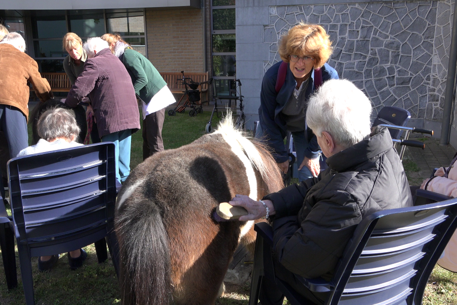 ouderen verzorgen de snoezelpony's