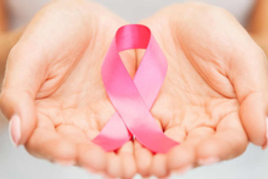 roos lintje in handen