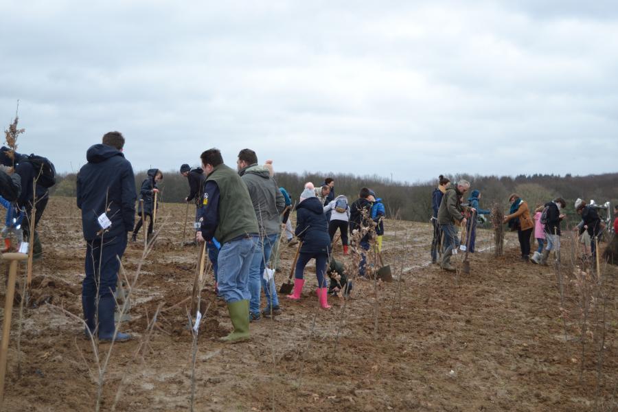 Volwassenen en kinderen planten bomen