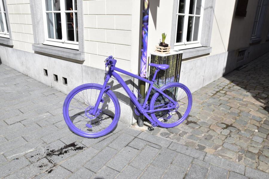 Paarse fiets promo Bluebellstreet