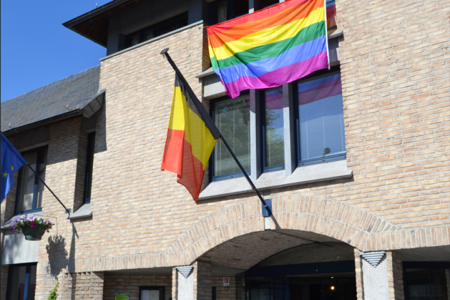 vlag hangt op het stadhuis uit