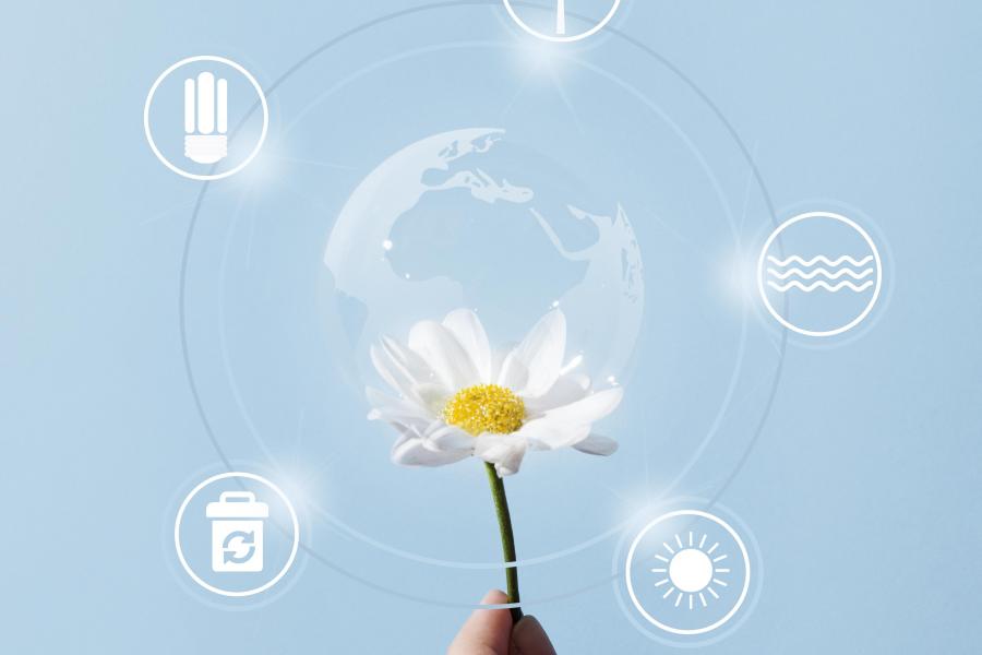 bloem met energiebronnen naast