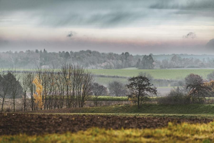 Brabantse wouden (c) Lander Loeckx