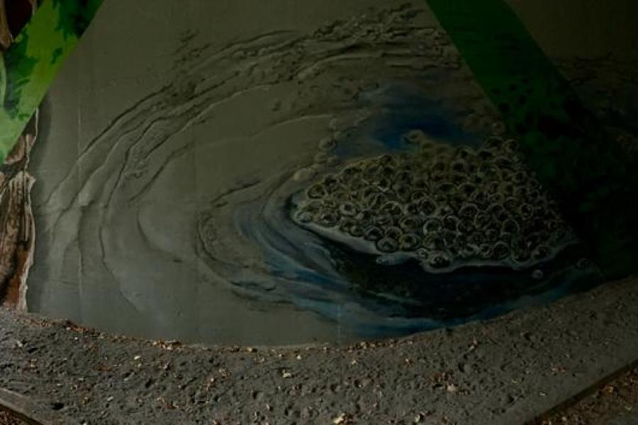 Viva Pintura en MASSI toverden de grijze muren van de ecotunnel aan de Pijpaenshoek om tot een mooi kunstwerk.