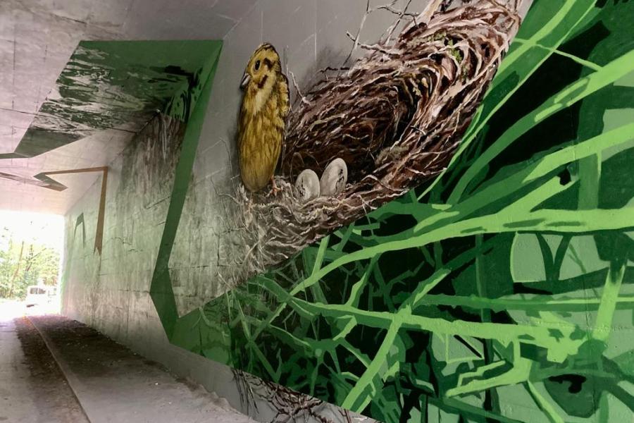 Viva Pintura en MASSI toverden de grijze muren van de ecotunnel aan de Pijpaenshoek om tot een mooi kunstwerk.