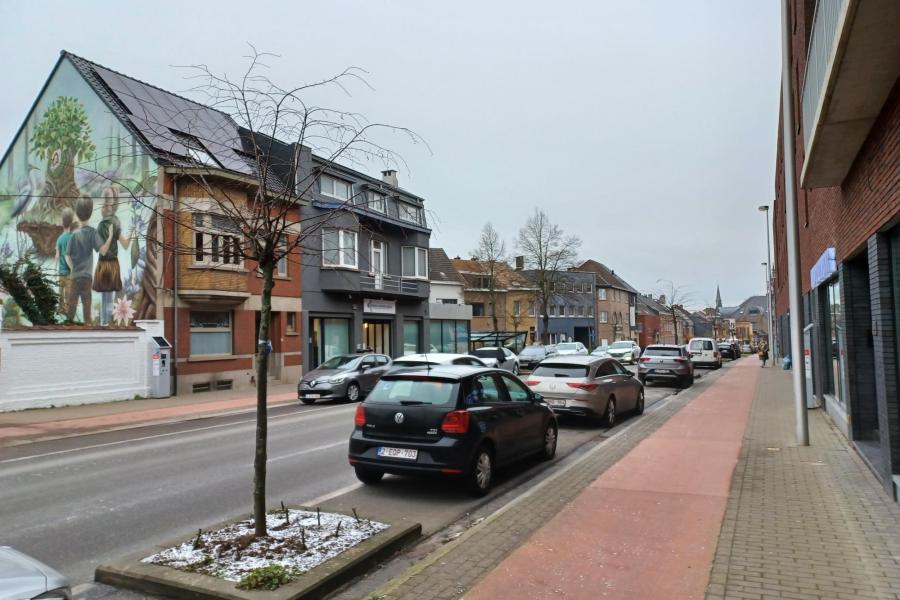 Lindebomen op de Bergensesteenweg