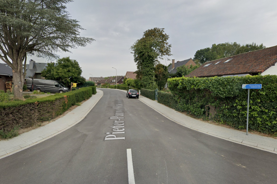 Pieter-Pauwel Rubenslaan 