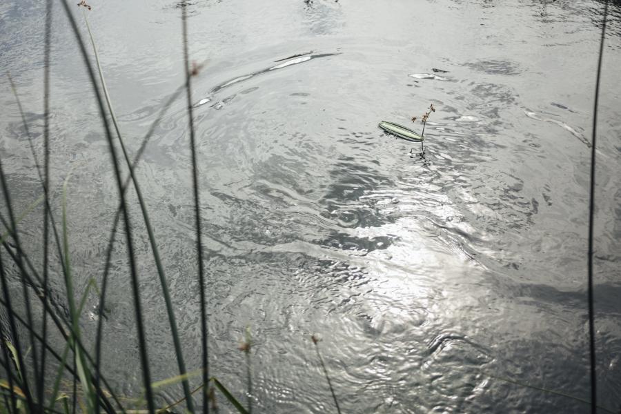 regendruppels in een rivier image by Freepik