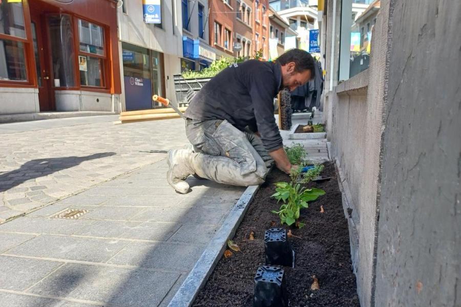 Aanplanting geveltuintjes Basiliekstraat