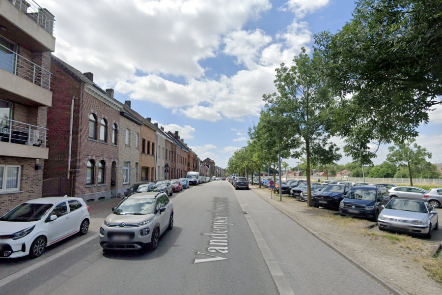 Vandenpeereboomstraat