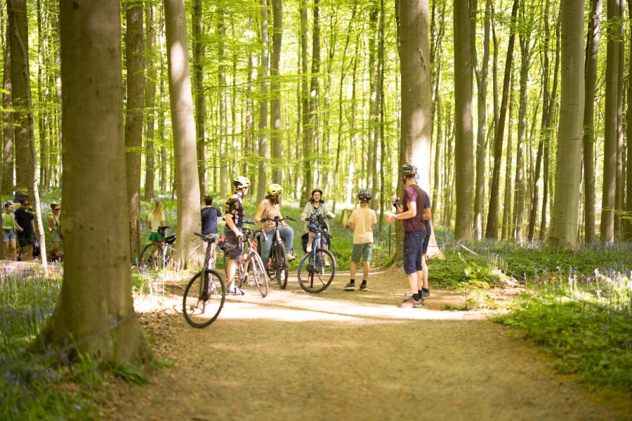 Toeristen in het Hallerbos (c)Layla Aerts