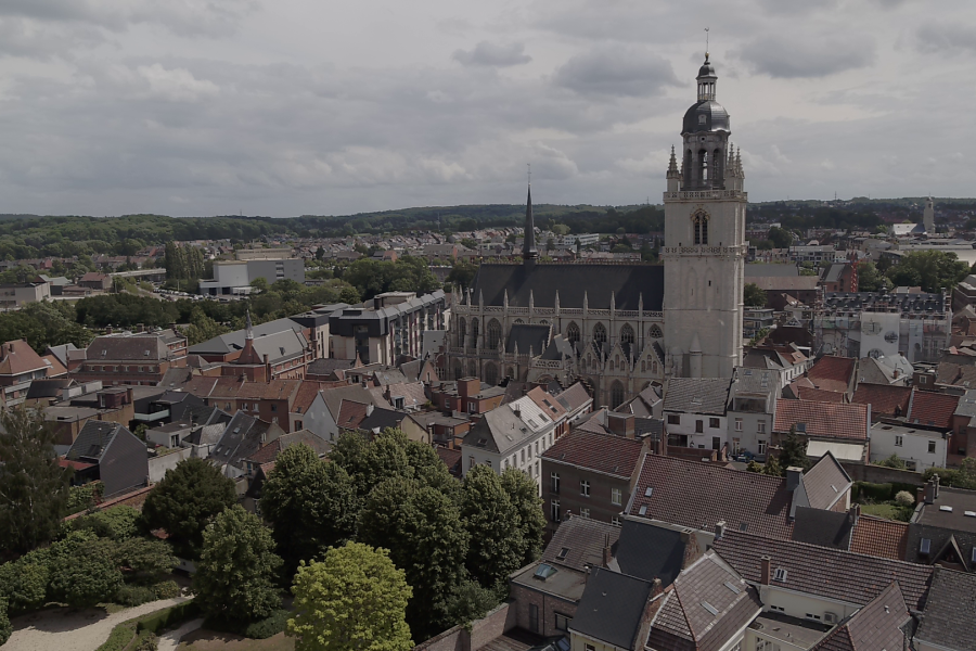Basiliek luchtbeeld