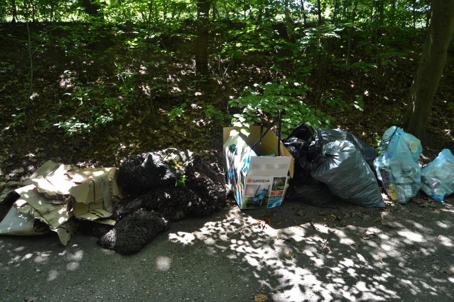 zwerfvuil verzamelen