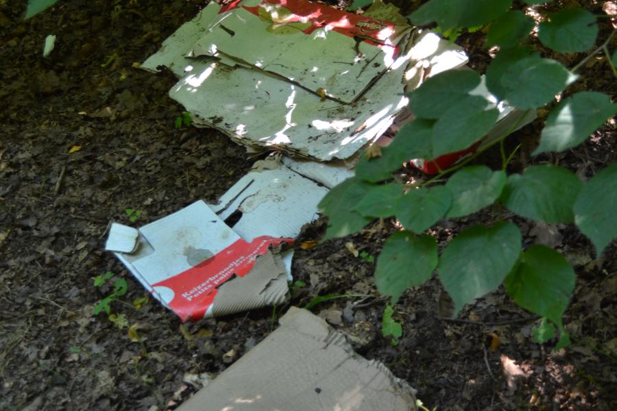 zwerfvuil verzamelen