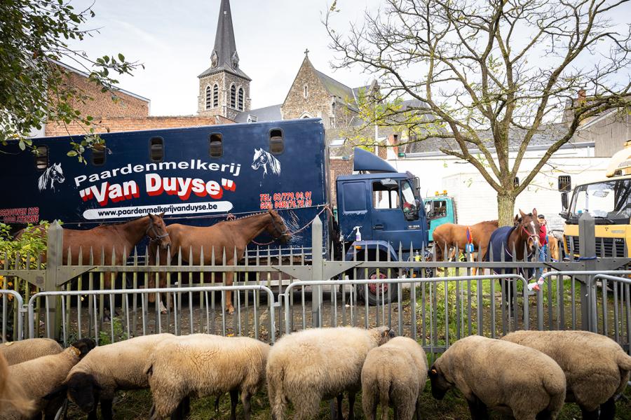 jaarmarkt Lembeek (c)Layla Aerts