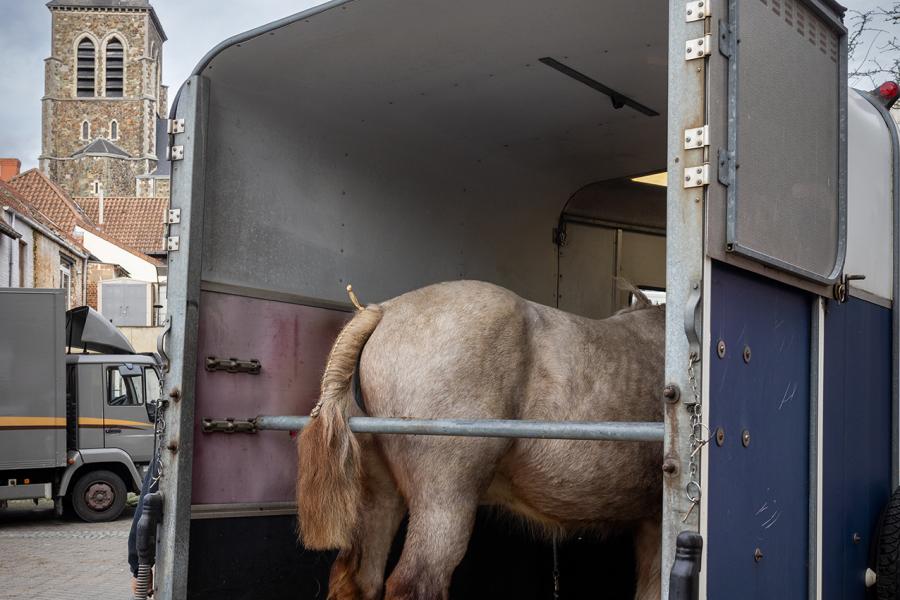 jaarmarkt Lembeek (c)Layla Aerts