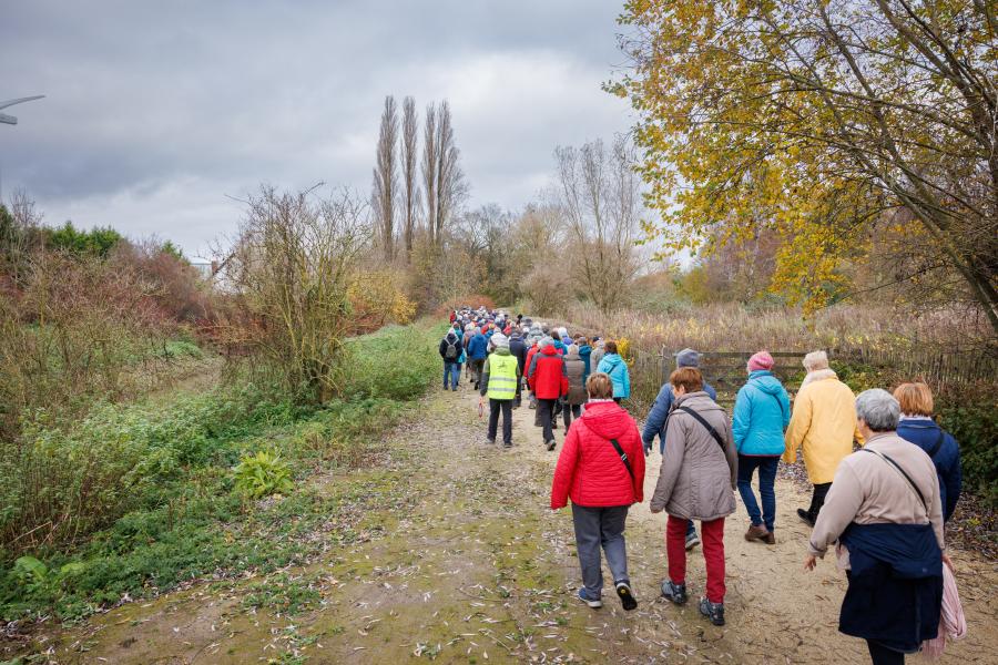 Wandelen met senioren