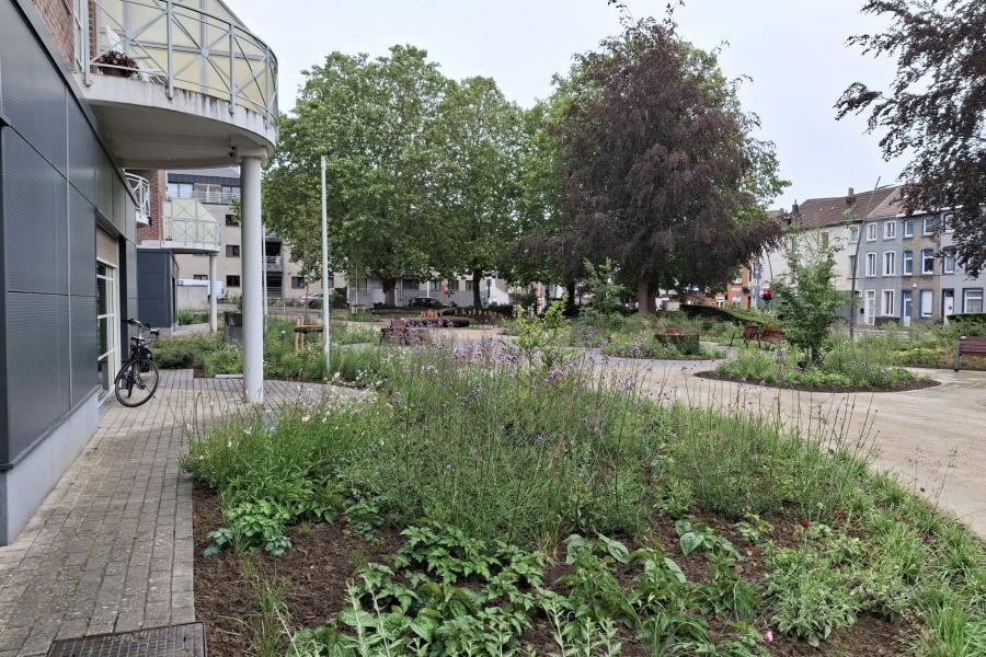 tuin Van Koekenbeek