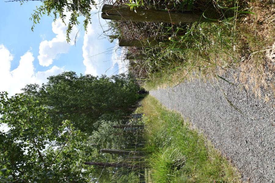 Groen in Halle