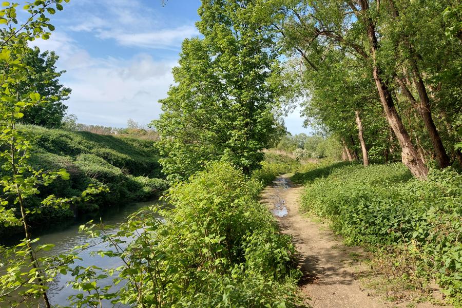 Groen in Halle