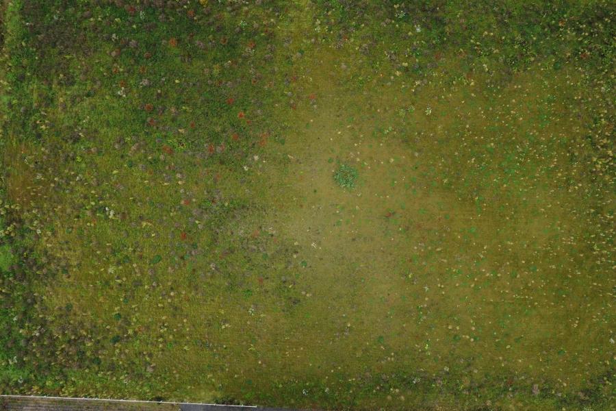 Dronebeeld Lamme Gisj