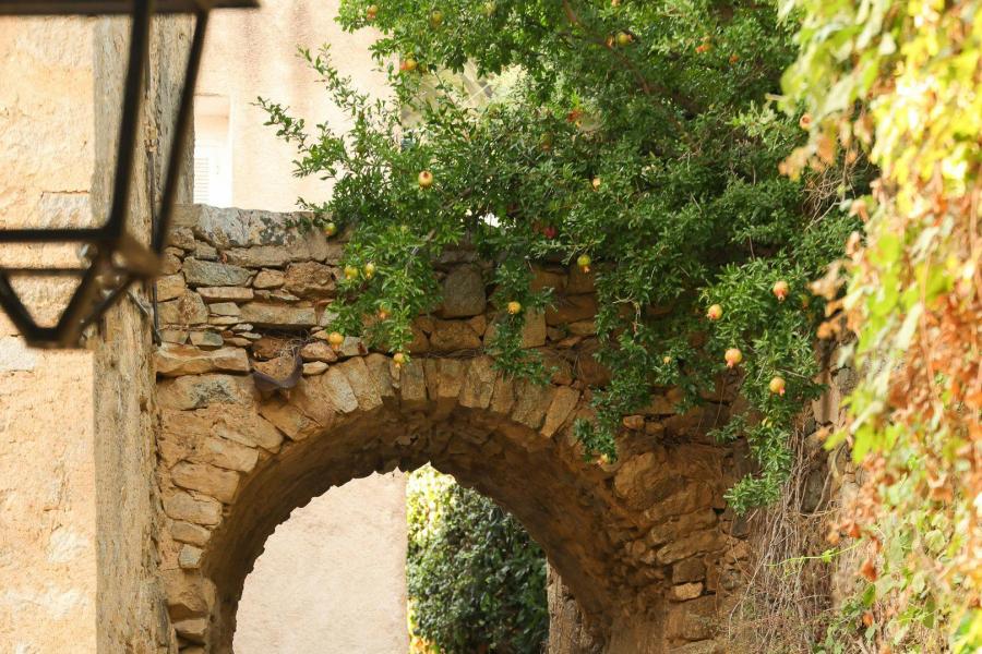 Grilli - L'Alba © © Stalla Chahmirian